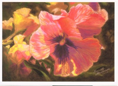 Caroline's Pansies